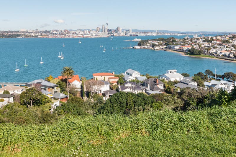 Houses in Devonport Suburb with Auckland CBD in Background Stock Image Image of skyline