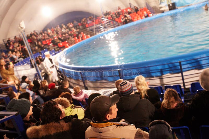 Audience in dolphinarium stock photos