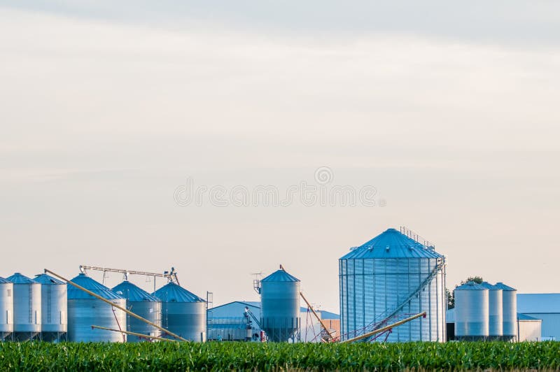 Auf einer amerikanischen Farm in Kentucky lizenzfreie stockfotografie