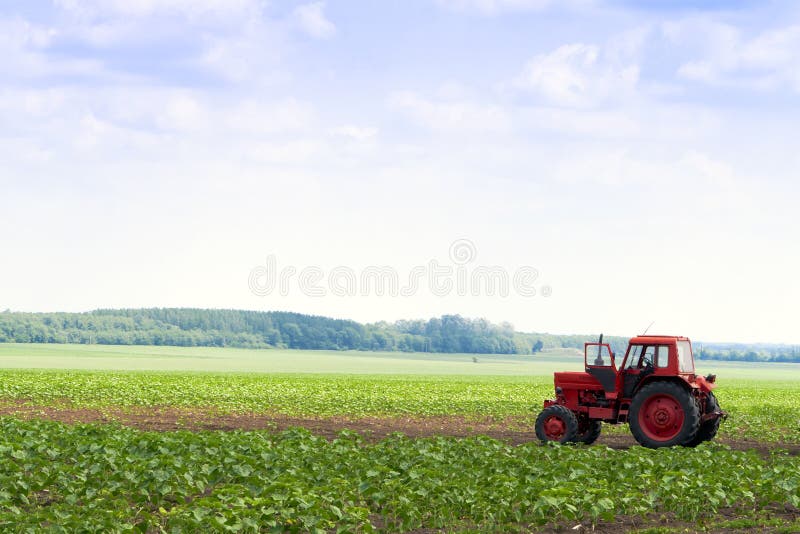 Red tractor in the field. Red tractor in the field.