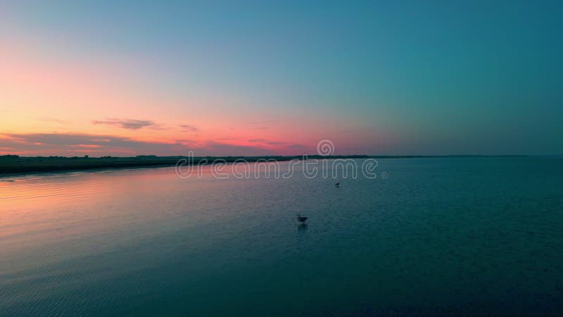 Auf einem schönen Fjord in Vögeln zu einem Sonnenuntergang fliegen als vorbei