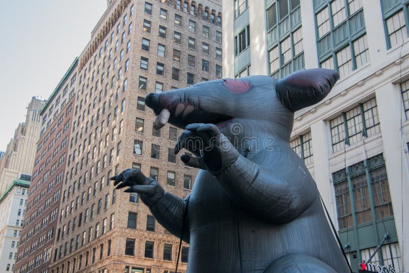 Aufblasbare Ratte auf einer New- York Citystraße vor einer nicht organisierten Baustelle an Macy's-Kaufhaus mit Protestors sehen lizenzfreie stockbilder Aufblasbare Ratte auf einer New- York Citystraße vor einer nicht organisierten Baustelle an Macy's-Kaufhaus mit Protestors sehen lizenzfreie stockbilder