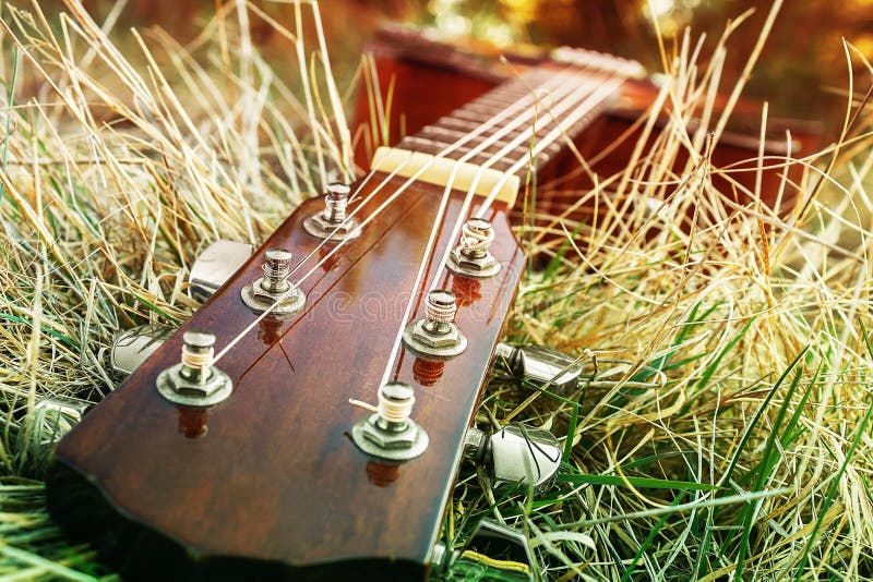 Aufgereihtes Musikinstrument in der Natur Spiellieder lizenzfreie stockfotografie Aufgereihtes Musikinstrument in der Natur Spiellieder lizenzfreie stockfotografie