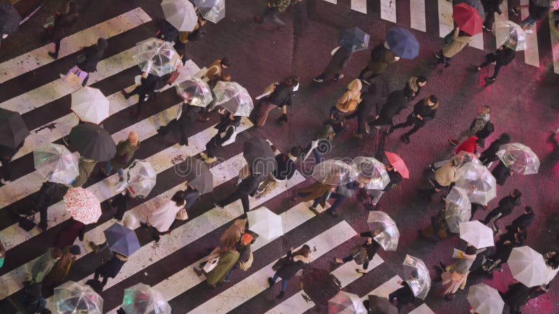 Aufnahmen von Menschen, die Shibuya-Platz in einer regnerischen Nacht überqueren. zeigt Shopper und Nachtleben in der Neonstadt