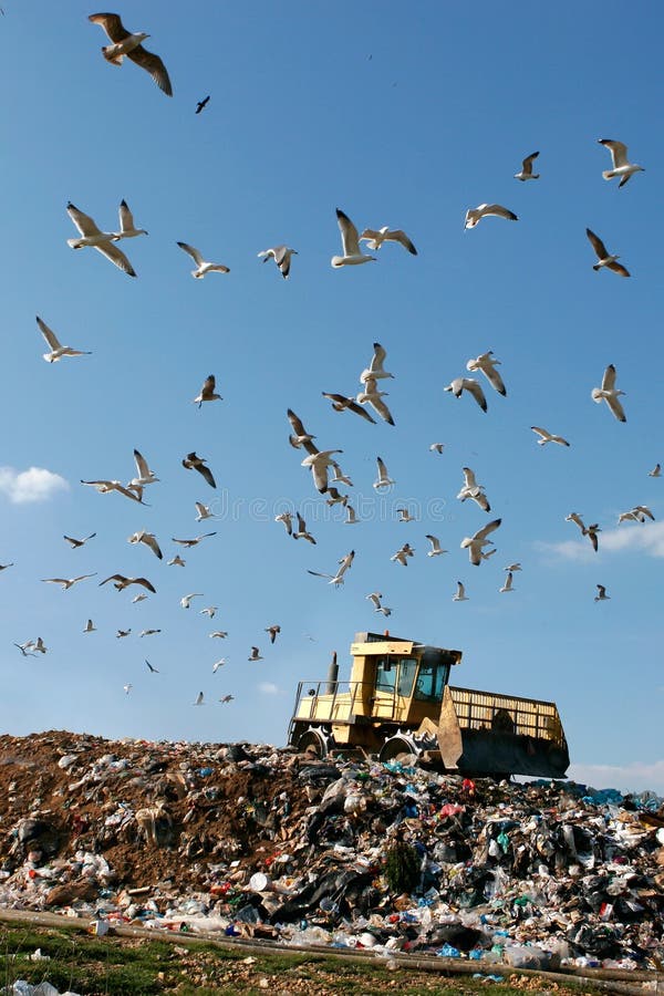 Landfill with bulldozer working, against beautiful blue sky full of sea birds. Great for environment and ecological themes. Landfill with bulldozer working, against beautiful blue sky full of sea birds. Great for environment and ecological themes