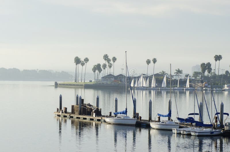 The sunrise over Sail bay in Mission Bay over the Pacific beach in San Diego, California in the United States of America. A view of the palm trees, sail boats and beautiful saltwater bay in the morning. The sunrise over Sail bay in Mission Bay over the Pacific beach in San Diego, California in the United States of America. A view of the palm trees, sail boats and beautiful saltwater bay in the morning.