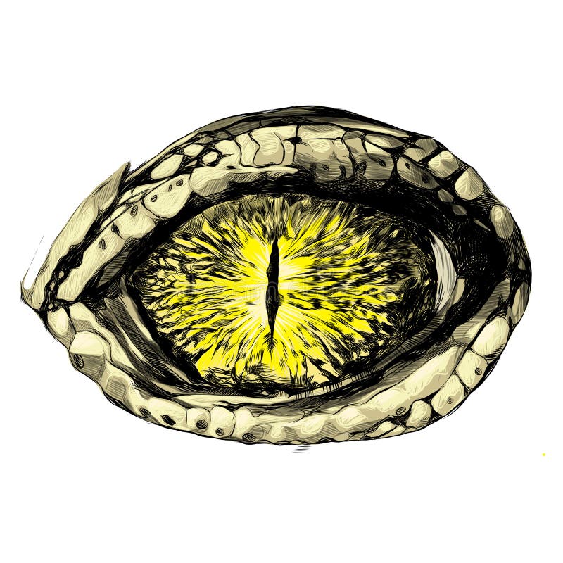 Auge eines Krokodils stock abbildung