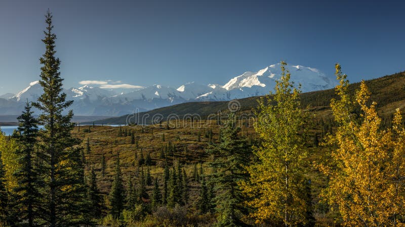 AUGUST 28, 2016 - Mount Denali previously known as Mount McKinley, the highest mountain peak in North America, at 20, 310 feet above sea level. Alaska Mountain Range, Denali National Park and Preserve, Autumn Color. AUGUST 28, 2016 - Mount Denali previously known as Mount McKinley, the highest mountain peak in North America, at 20, 310 feet above sea level. Alaska Mountain Range, Denali National Park and Preserve, Autumn Color.