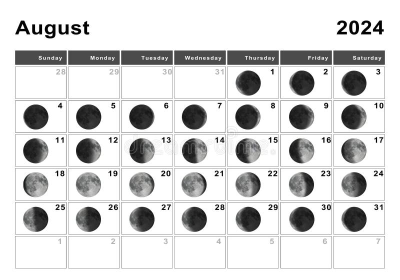 August 2024 Lunar Calendar, Moon Cycles Stock Photo Image of flat