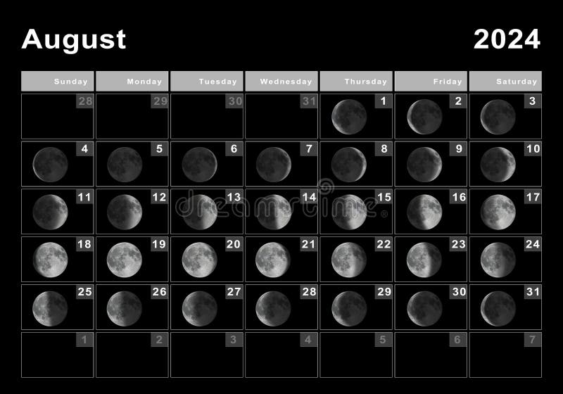 August 2024 Lunar Calendar, Moon Cycles Stock Image Image of layout