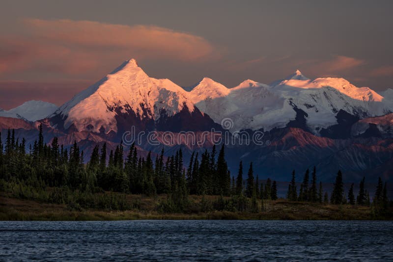 AUGUST 29, 2016 - Sunset on Mount Denali previously known as Mount McKinley, the highest mountain peak in North America, at 20, 310 feet above sea level. Alaska Mountain Range, Denali National Park and Preserve. AUGUST 29, 2016 - Sunset on Mount Denali previously known as Mount McKinley, the highest mountain peak in North America, at 20, 310 feet above sea level. Alaska Mountain Range, Denali National Park and Preserve.