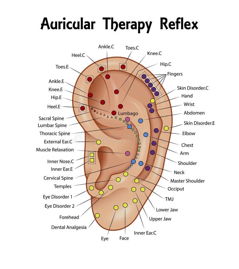 Auricular Acupuncture Chart