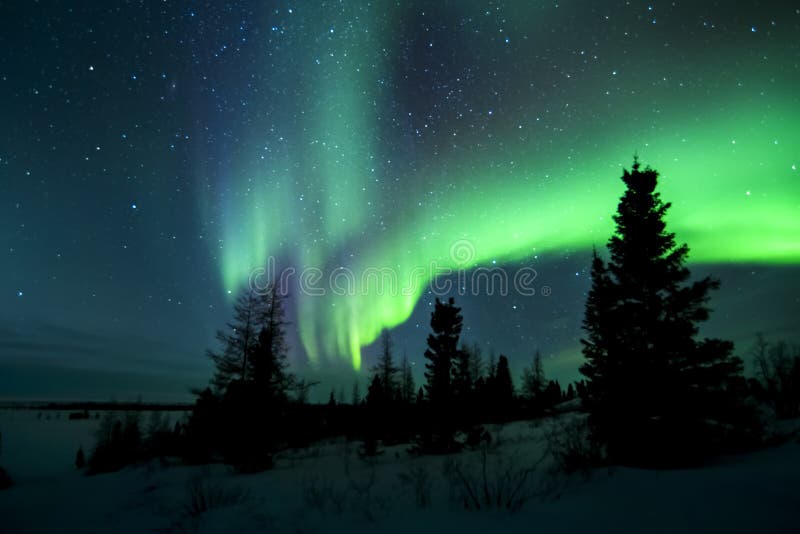 Aurora Borealis acima da tundra fotografia de stock Aurora Borealis acima da tundra fotografia de stock