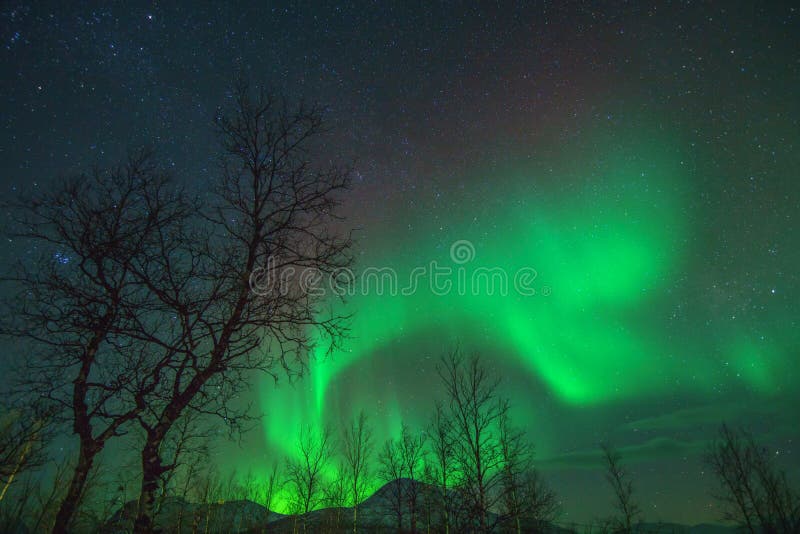 Aurora Borealis eller för nordliga ljus fenomen arkivbild Aurora Borealis eller för nordliga ljus fenomen arkivbild