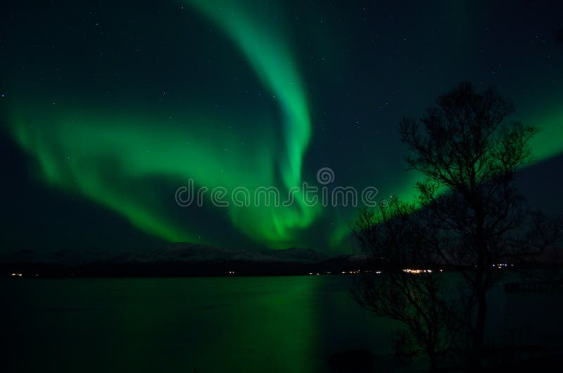 Aurora borealis forte fantástico sobre o fiorde e a montanha frios fotografia de stock Aurora borealis forte fantástico sobre o fiorde e a montanha frios fotografia de stock