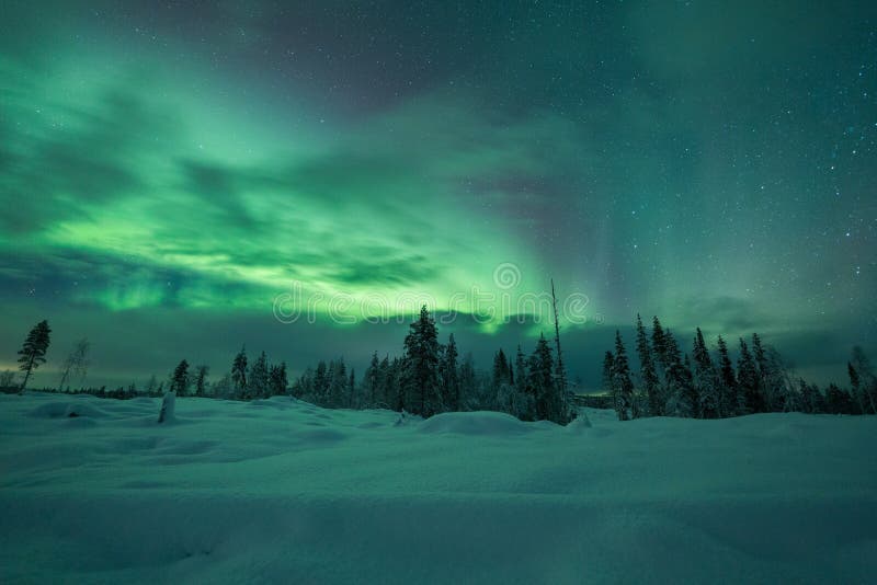 Aurora borealis (Northern Lights) in Finland, lapland forest