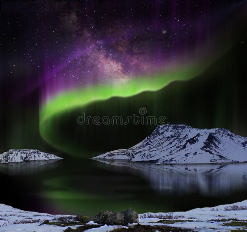 raw aurora belle raw aurora belle