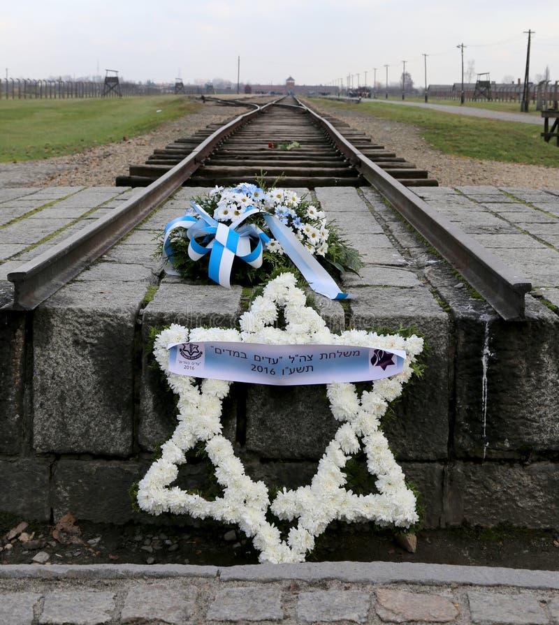 auschwitz birkenau arkivbilder auschwitz birkenau arkivbilder