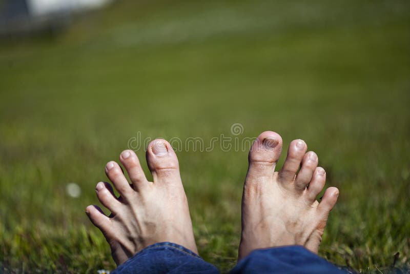 Ausgedehnte Zehen, die auf Gras sich entspannen
