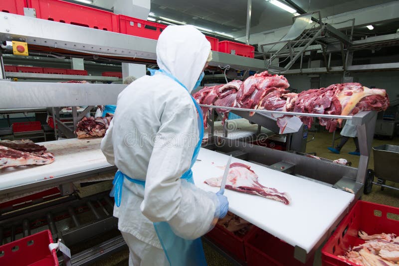 Ausschnittfleisch-Schlachthausarbeitskräfte in einer Fleischfabrik lizenzfreie stockfotos Ausschnittfleisch-Schlachthausarbeitskräfte in einer Fleischfabrik lizenzfreie stockfotos