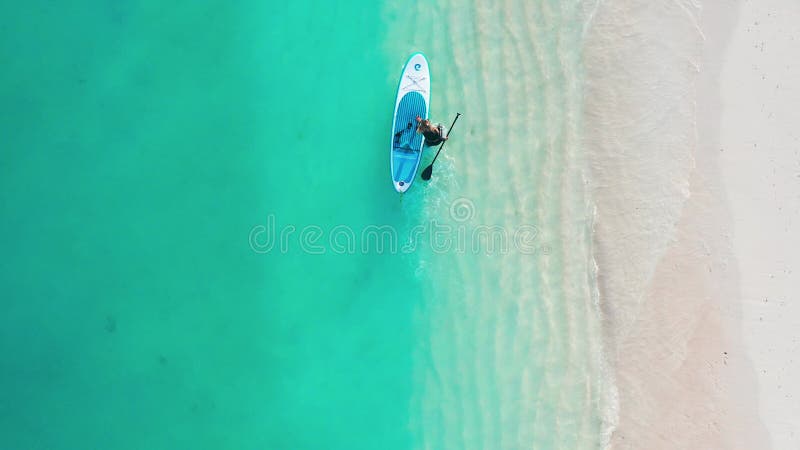 Aussicht aus der Luft auf eine Frau, die im Wasser spazieren geht, mit einem Surfbrett im türkisfarbenen Wasser der Malediven. stock footage