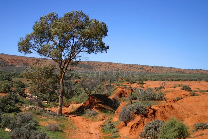 Australia royalty free stock images