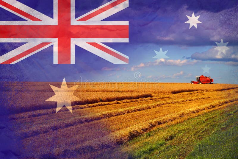 Australia Agriculture, Harvesting Crops Stock Illustration ...