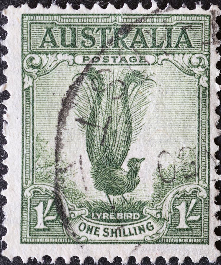 AUSTRALIA-CIRCA 1932 : A post stamp printed in Australia showing a Lyre Bird Menura novaehollandiae .