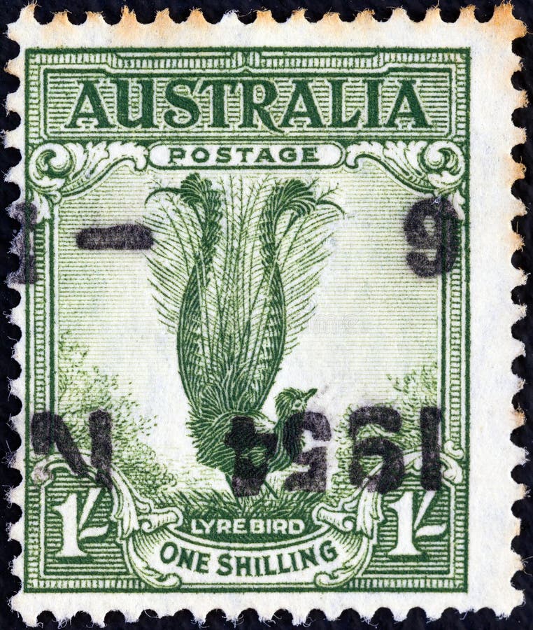 AUSTRALIA - CIRCA 1932: A stamp printed in Australia shows a lyrebird , circa 1932.