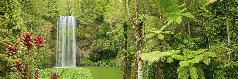australia piękna millaa panoramy siklawa obraz stock australia piękna millaa panoramy siklawa obraz stock