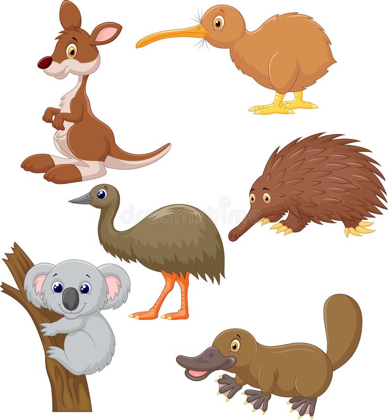 Download Australian animal cartoon stock vector. Illustration of ...