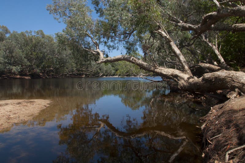 Australian billabong stock photo. Image of water, outback 80522302