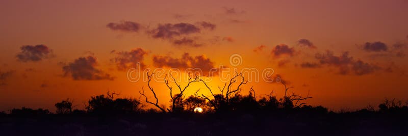 Australian Bush Sunset