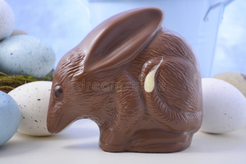 Australian Milk Chocolate Bilby Easter Egg with Eggs in Nest and Copy
