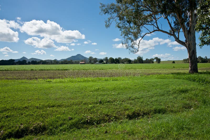 Australian farmland. stock photo