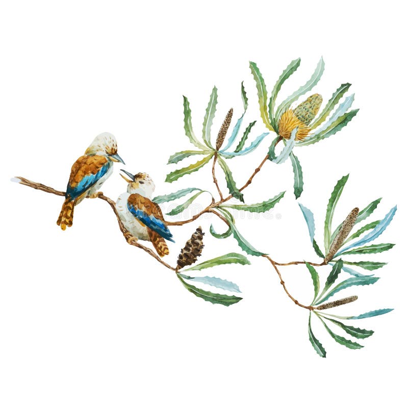 Australian kookaburra bird stock illustration Australian kookaburra bird stock illustration