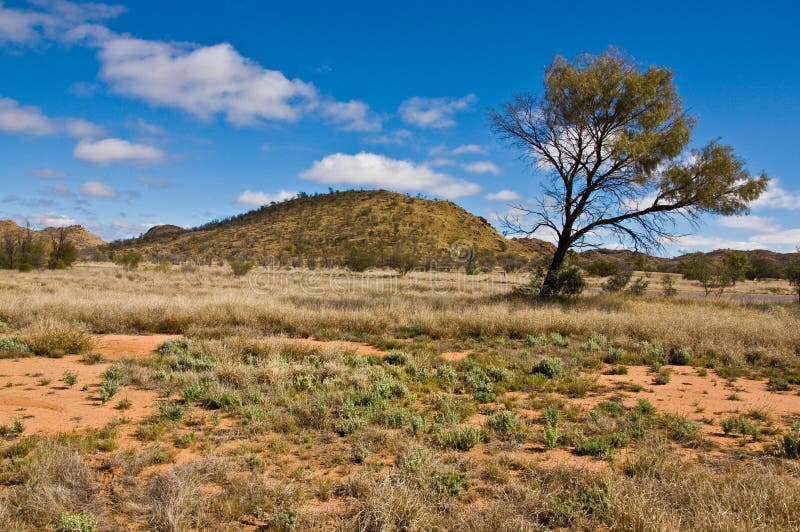 Australian landscape