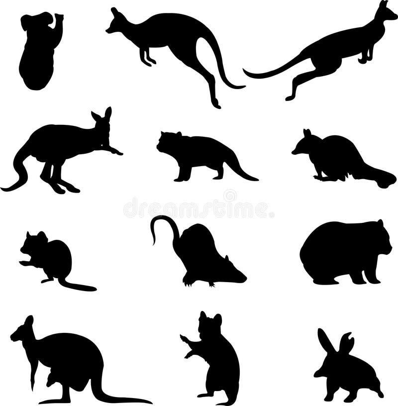 Australian Marsupial Animals Stock Vector - Illustration of tasmanian,  rodents: 9651899