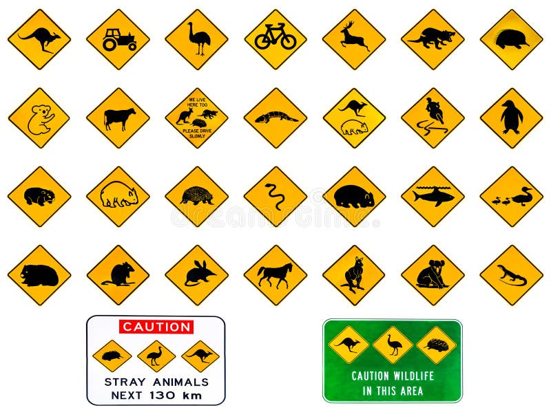 Warning Beware Of Wild Animals Warning Sign Stock Illustration