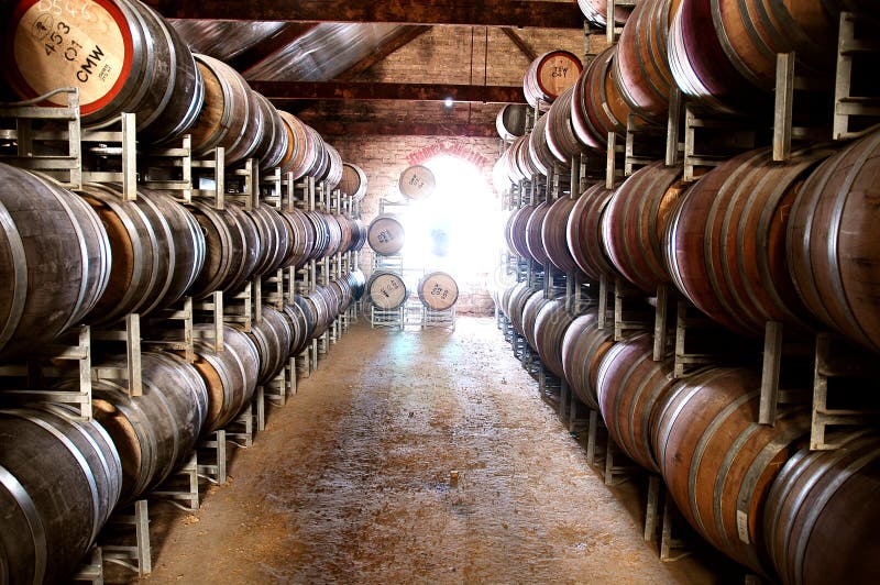 Photo of historical wine barrels in winery cellar storage area featuring rows of oak barrels after vintage and harvest. Areas include barossa valley, clare valley, Coonawarra, Hunter Valley, McLaren Vale. Photo of historical wine barrels in winery cellar storage area featuring rows of oak barrels after vintage and harvest. Areas include barossa valley, clare valley, Coonawarra, Hunter Valley, McLaren Vale