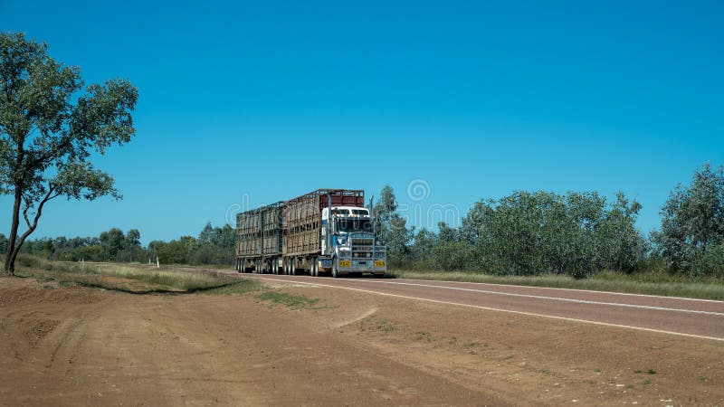 Australische trein die vee vervoert naar de markt