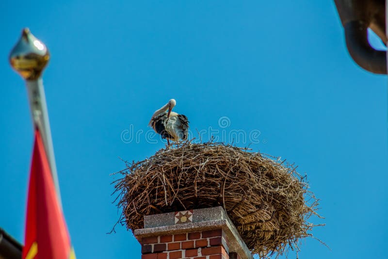 A stork nest on a achornstein in rust. burgenland, austria. A stork nest on a achornstein in rust. burgenland, austria