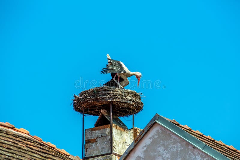 A stork's nest on a achornstein in rust. burgenland, austria. A stork's nest on a achornstein in rust. burgenland, austria