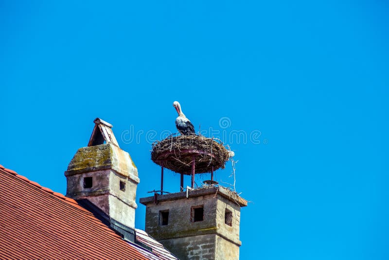 A stork's nest on a achornstein in rust. burgenland, austria. A stork's nest on a achornstein in rust. burgenland, austria