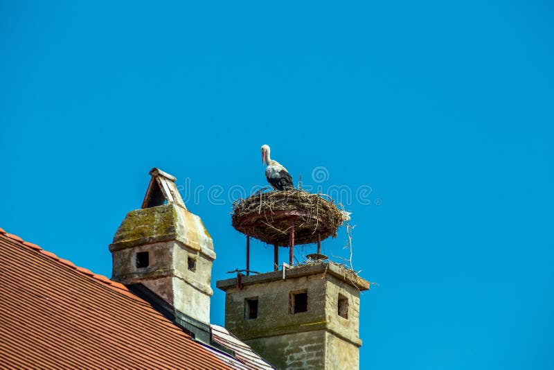 A stork's nest on a achornstein in rust. burgenland, austria. A stork's nest on a achornstein in rust. burgenland, austria