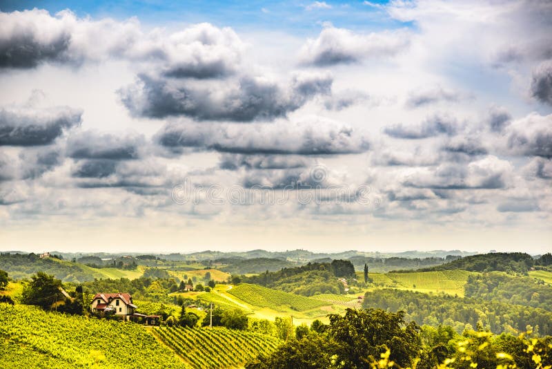 Austria, Slovenia Vineyards Sulztal area south Styria , wine country path to heart shaped street