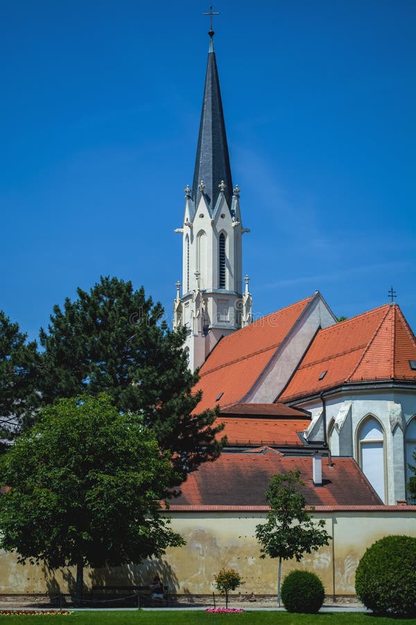 15 06 2019 Austria, Viena Una vista y el lugar turístico el parque y el territorio de Schoenbrunn con los jardines, el invernader fotografía de archivo libre de regalías 15 06 2019 Austria, Viena Una vista y el lugar turístico el parque y el territorio de Schoenbrunn con los jardines, el invernader fotografía de archivo libre de regalías