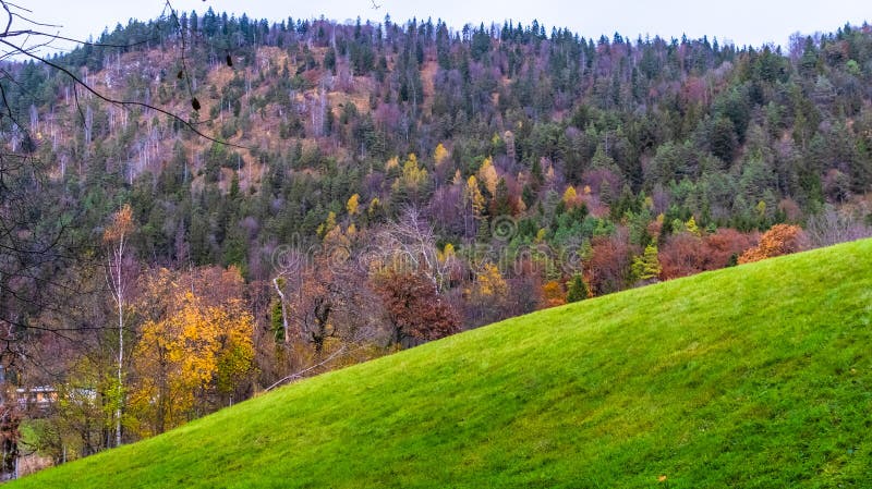 Austrian Alps Green Meadows Alpine Cottages And Mountain Peaks Stock