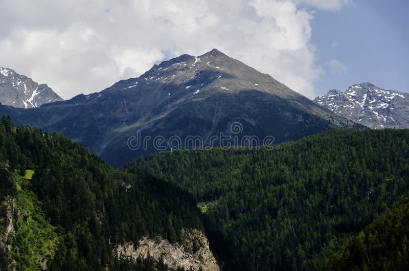 Austrian landscape of the alps mountains peaks with green forest in the front