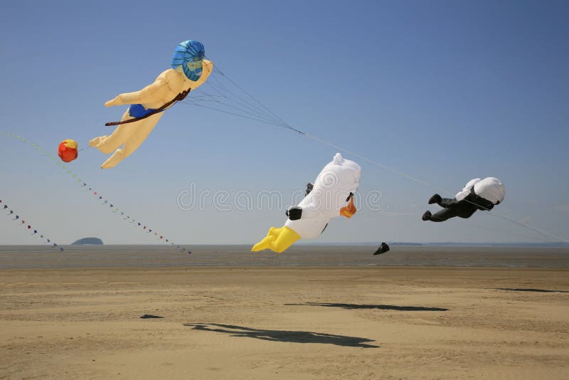 Auswahl des Drachenfliegens stockfotografie Auswahl des Drachenfliegens stockfotografie